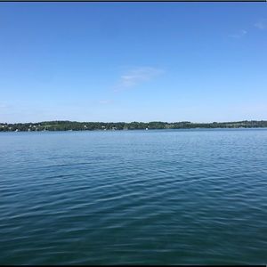 Meet your Posher, Bridget